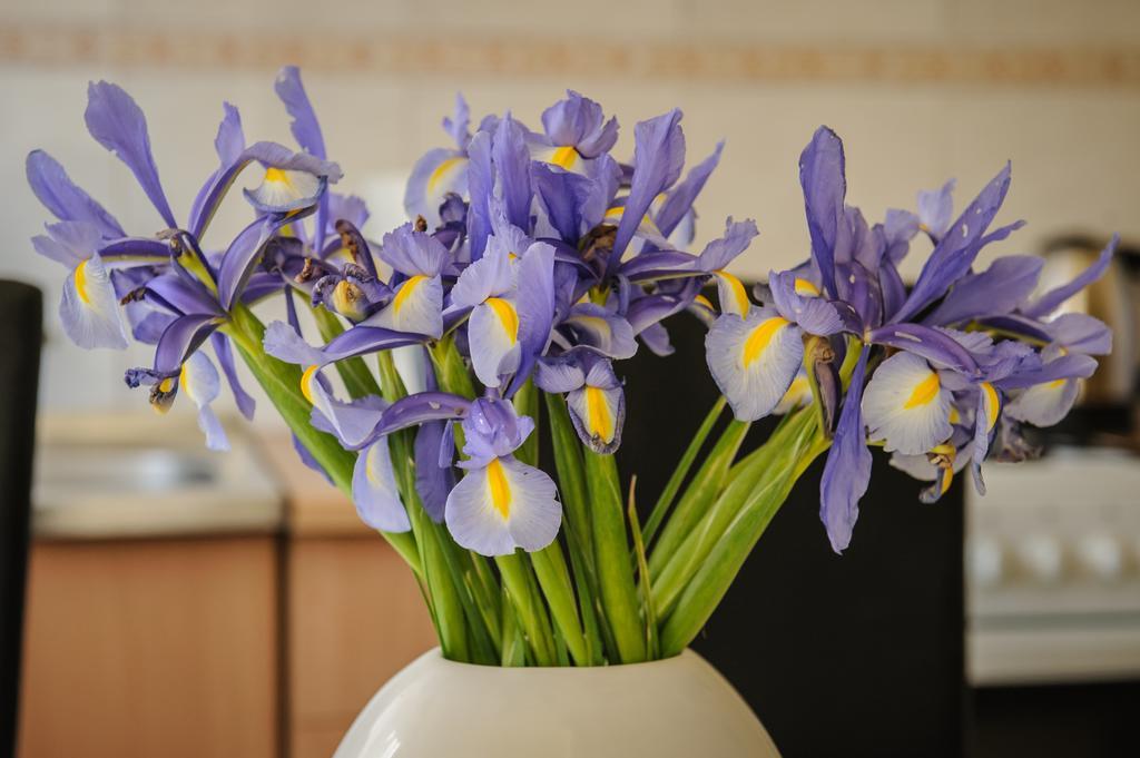 Apartament Lovmar
